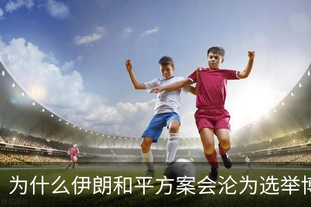 为什么伊朗和平方案会沦为选举博弈筹码？