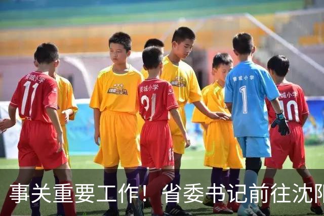 事关重要工作！省委书记前往沈阳方城等地调研