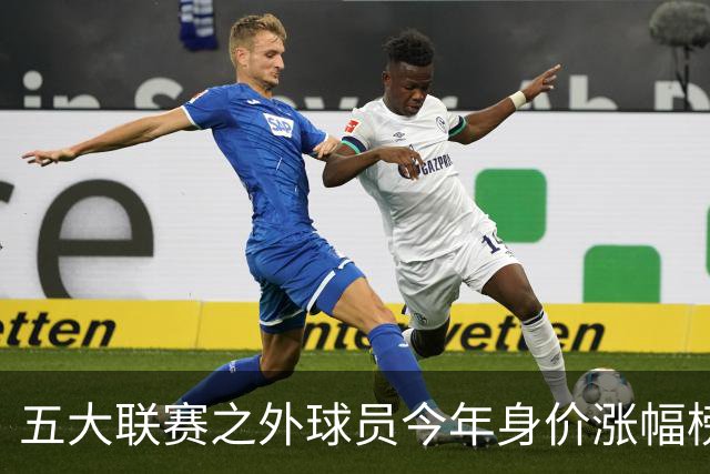 五大联赛之外球员今年身价涨幅榜：普雷斯蒂安尼、谢尔德鲁普前二