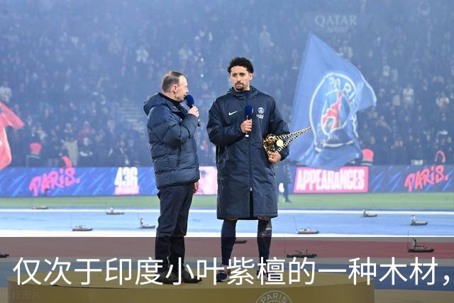 仅次于印度小叶紫檀的一种木材，如今市场行情却非常低迷？