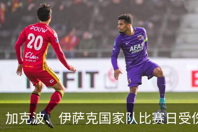 加克波、伊萨克国家队比赛日受伤，利物浦盼间歇期后复出
