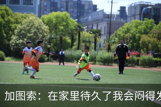 加图索：在家里待久了我会闷得发慌，执教的乐趣比踢球时还多