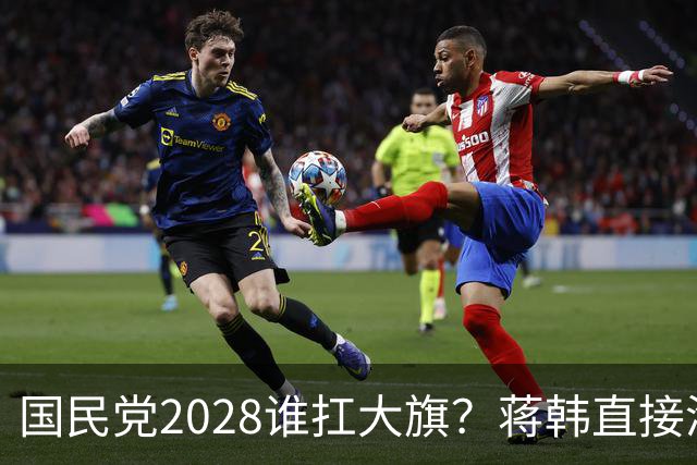 国民党2028谁扛大旗？蒋韩直接淘汰，卢秀燕跑偏，郑丽文笑到最后