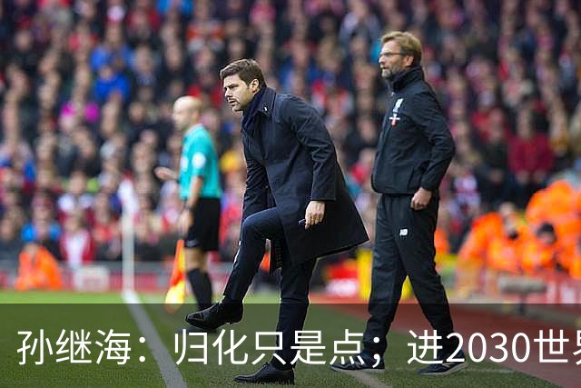 孙继海：归化只是点；进2030世界杯不代表重新振作