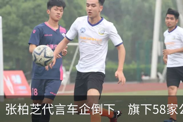张柏芝代言车企倒下，旗下58家公司重整！其实这是好事