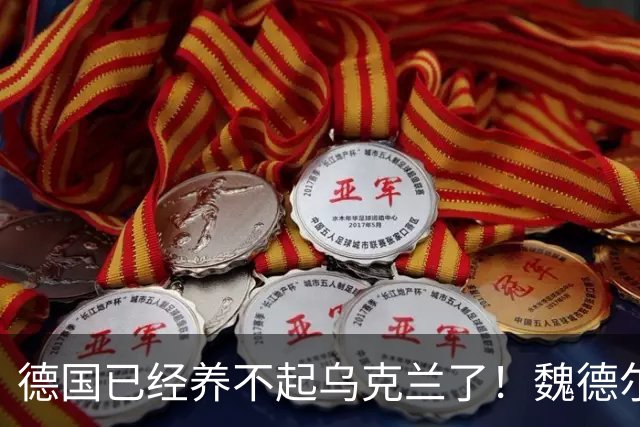 德国已经养不起乌克兰了！魏德尔明确表态，泽连斯基接的住吗？