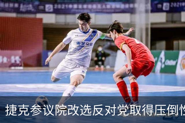 捷克参议院改选反对党取得压倒性胜利
