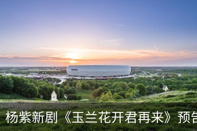 杨紫新剧《玉兰花开君再来》预告，方言环境故事代入感好强