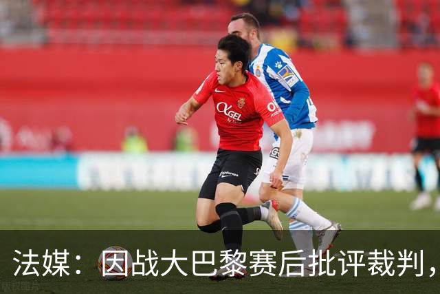 法媒：因战大巴黎赛后批评裁判，里尔主席罚2万欧