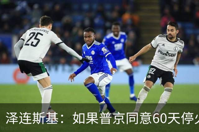 泽连斯基：如果普京同意60天停火，乌克兰将举行选举