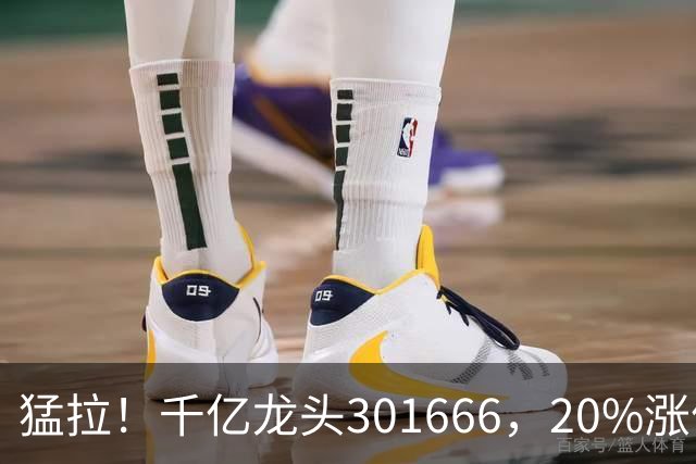 猛拉！千亿龙头301666，20%涨停