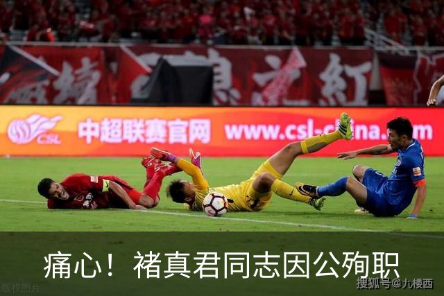 痛心！褚真君同志因公殉职