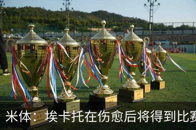 米体：埃卡托在伤愈后将得到比赛机会，尤文将评估是否冬季出租他