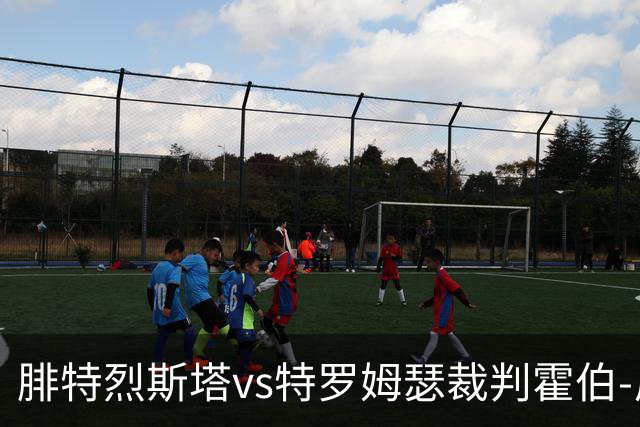 腓特烈斯塔vs特罗姆瑟裁判霍伯-尼尔森- 奥拉数据：近20场0红66黄9点