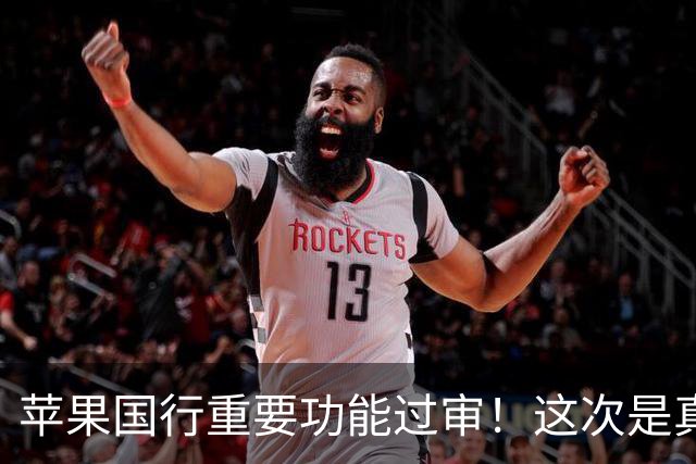 苹果国行重要功能过审！这次是真的要来了