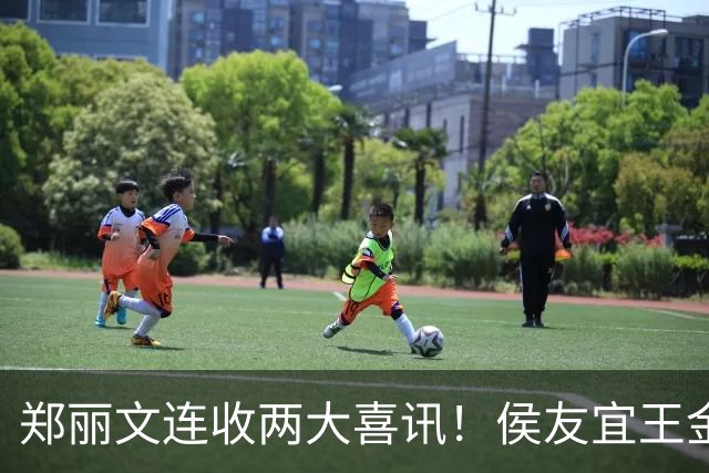 郑丽文连收两大喜讯！侯友宜王金平齐出手，谢家下场给蓝营上了一课