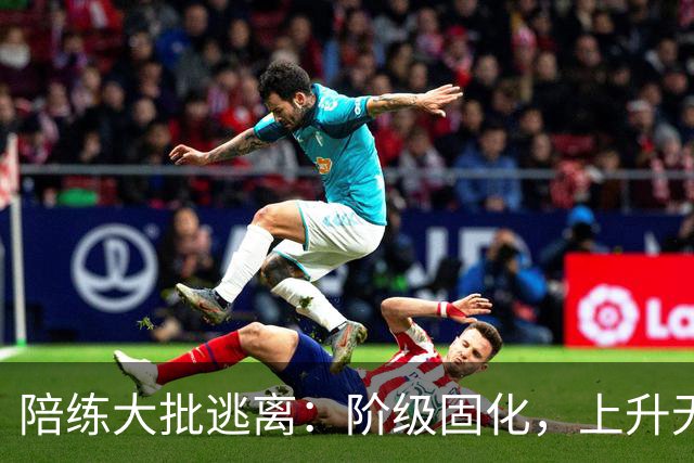 陪练大批逃离：阶级固化，上升无望，中国乒乓球的死局