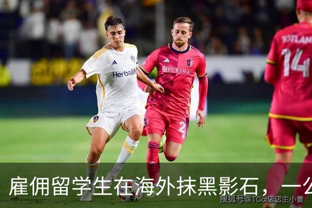 雇佣留学生在海外抹黑影石，一公司高管被行拘