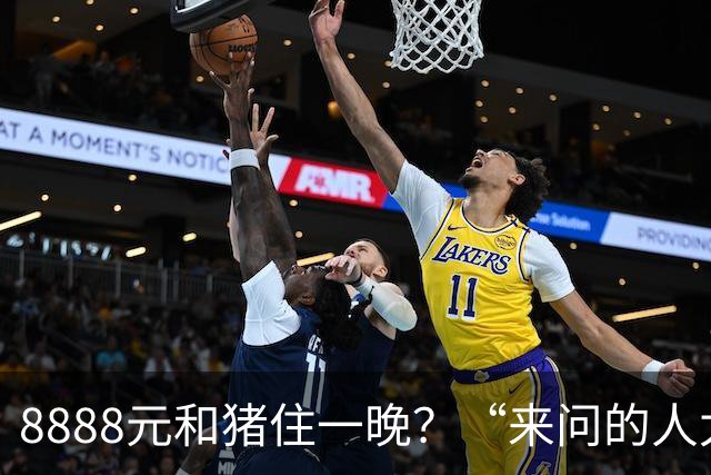8888元和猪住一晚？“来问的人太多了”